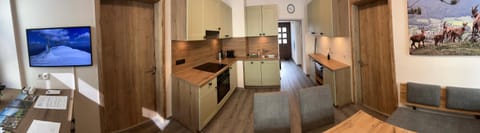 TV and multimedia, Kitchen or kitchenette, dishwasher, internet, microwave, stove, kitchen, air conditioner