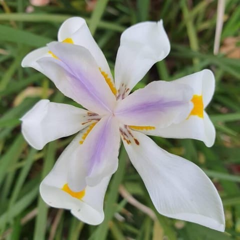 Aurora Homestead House in State of Rio de Janeiro