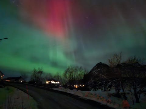 Lofoten Finnhavn Øvre - Panoramic view House in Lofoten