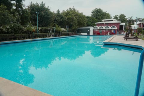 Swimming pool, Swimming pool