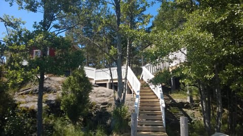 Day, Natural landscape