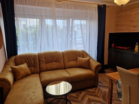 WILLA VASCO NAWIGATOR Apartment in Pomeranian Voivodeship