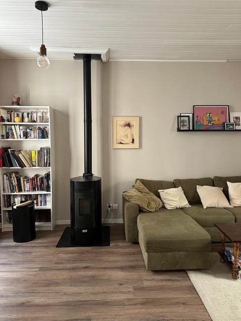 Library, Living room, Seating area, fireplace, flat iron