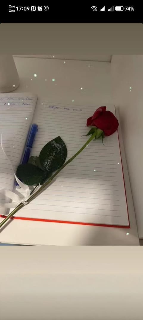 Laki Apartment in Montenegro