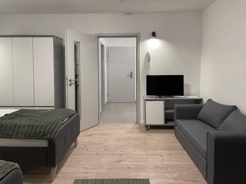 Bed, TV and multimedia, Living room, Photo of the whole room, Seating area, Bedroom, wardrobe
