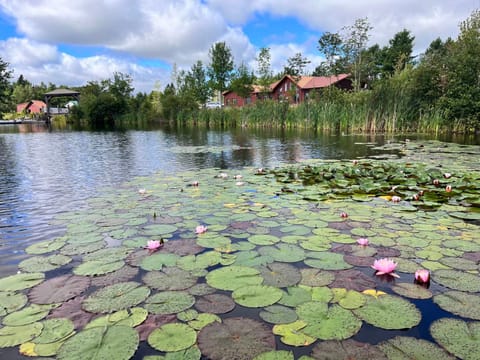Lake view