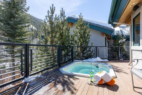 Warm Springs Ski Way Home with Pool, Pickleball, and More! House in Ketchum