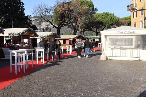 Monika Holiday Beautiful Lake View Lovely Apartment in Garda