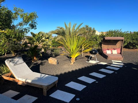 Day, Summer, BBQ facilities, Garden, Garden view, Time of day, sunbed