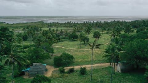 Day, Natural landscape, Bird's eye view, View (from property/room), View (from property/room), Sea view, Sea view