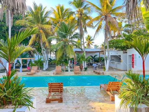 Garden, Pool view, sunbed