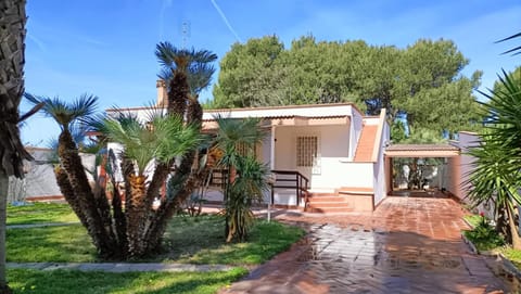 Property building, Garden, Garden view