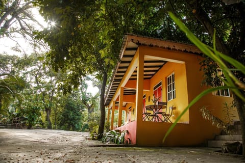 Property building, Garden view