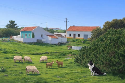 Animals, Pets, Street view