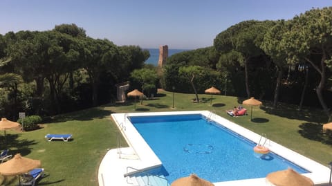 Day, Natural landscape, Garden, Garden view, Pool view, Swimming pool, sunbed