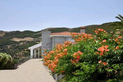 Property building, Natural landscape, Garden