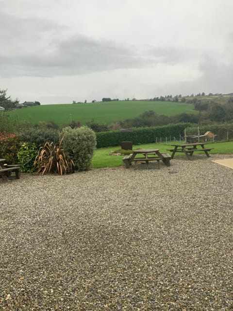 Natural landscape, Garden, Garden, Garden view