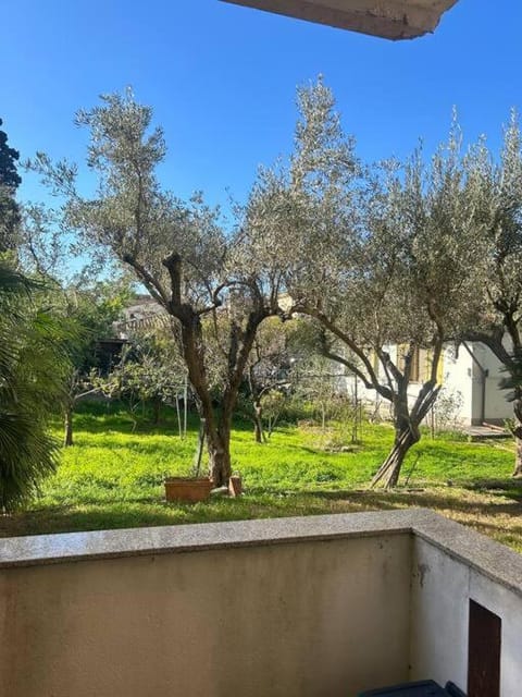 Natural landscape, Garden, Garden view