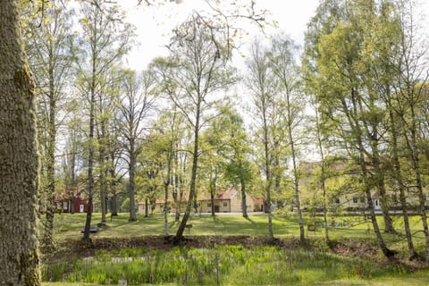 Garden, Garden