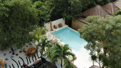Pool view, Swimming pool, Swimming pool