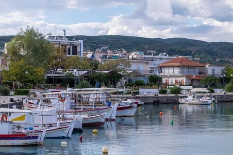 The poet's house House in Messenia