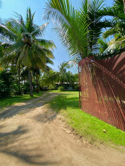 Property building, Garden view