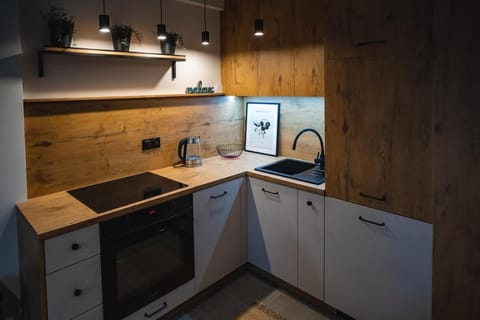 Apartament Loft Mazury Apartment in Lithuania