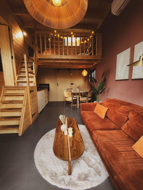 Living room, furniture, pet friendly, air conditioner