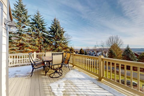 Bear's Eye View House in McHenry