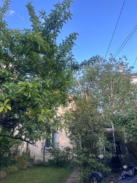 Natural landscape, Garden view