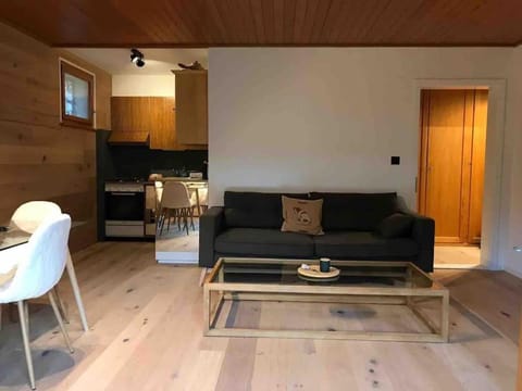 Apartment in the best location of Rougemont,Gstaad Apartment in Saanen