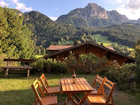 Apartment in the best location of Rougemont,Gstaad Apartment in Saanen