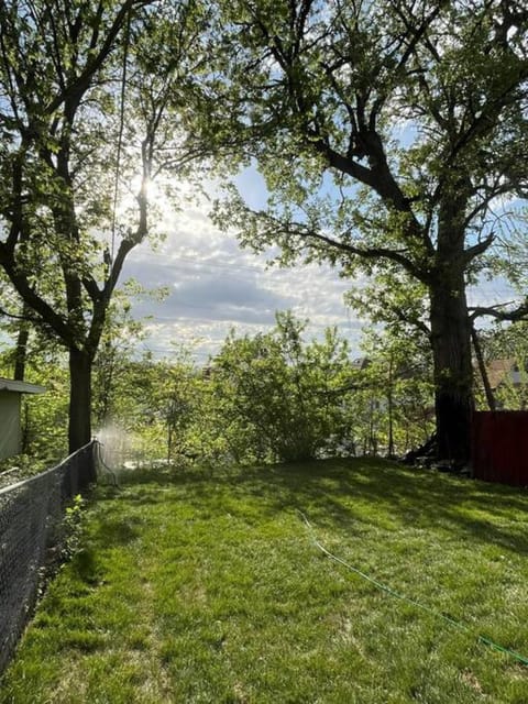 Spring, Day, Natural landscape, Garden, Garden view