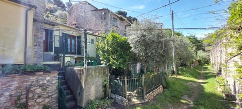 Property building, Garden view