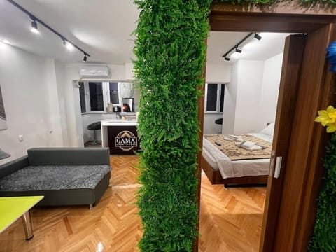 Bed, TV and multimedia, Kitchen or kitchenette, Living room, Photo of the whole room, Seating area, Bedroom