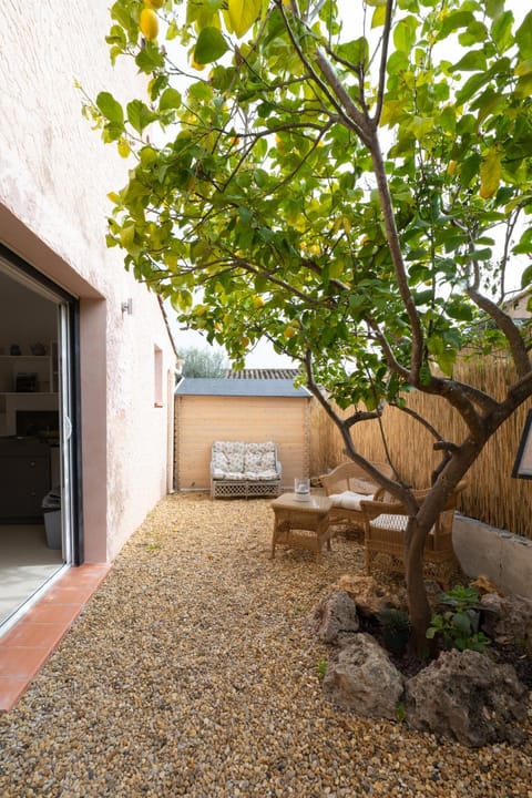 Patio, Garden