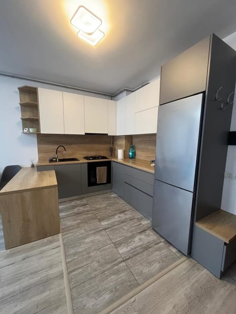 Ella apartment Apartment in Timisoara