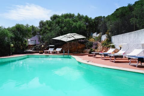 Spring, Day, Natural landscape, Garden, Garden view, Mountain view, Pool view, Swimming pool, sunbed