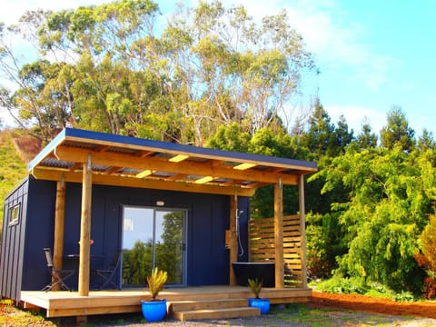 Kahu cabin Cabin in Raglan