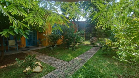 Natural landscape, Garden view