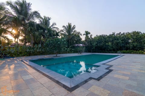 Day, Garden, Swimming pool, sunbed