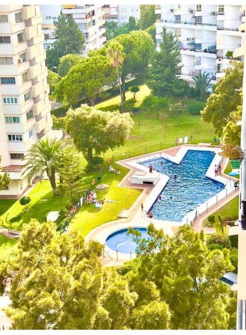 Garden, Swimming pool