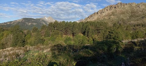 NIOLU Apartment in Corsica