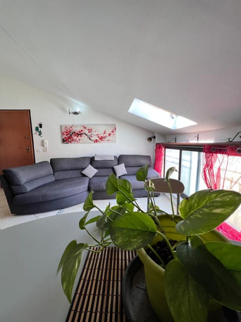 Communal lounge/ TV room, Dining area