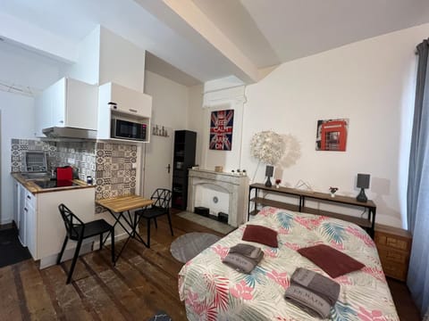 Les Studios du Centre Historique de Valence Apartment in Valence