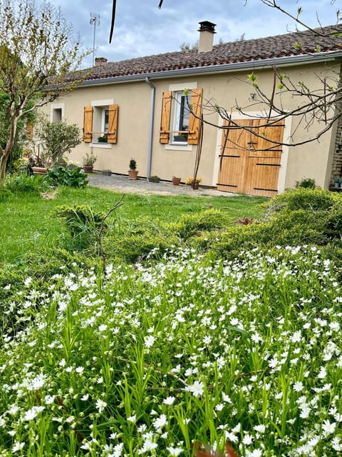 Natural landscape, Garden, Garden view