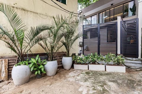 Property building, Garden, Garden view