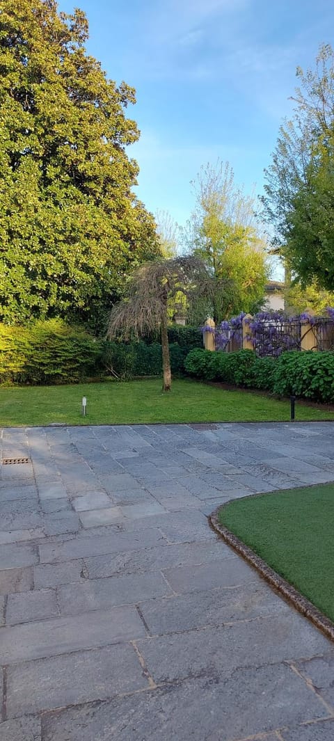 Spring, Day, Garden, Garden view