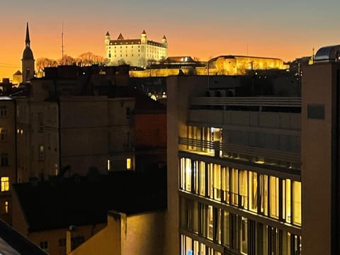 View (from property/room), Landmark view