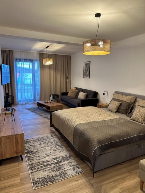 Bed, TV and multimedia, Living room, Photo of the whole room, Seating area, Bedroom, wardrobe